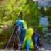 Bug out bag Danmark