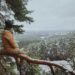 Bushcraft for begyndere: Sådan kommer du i gang 2025