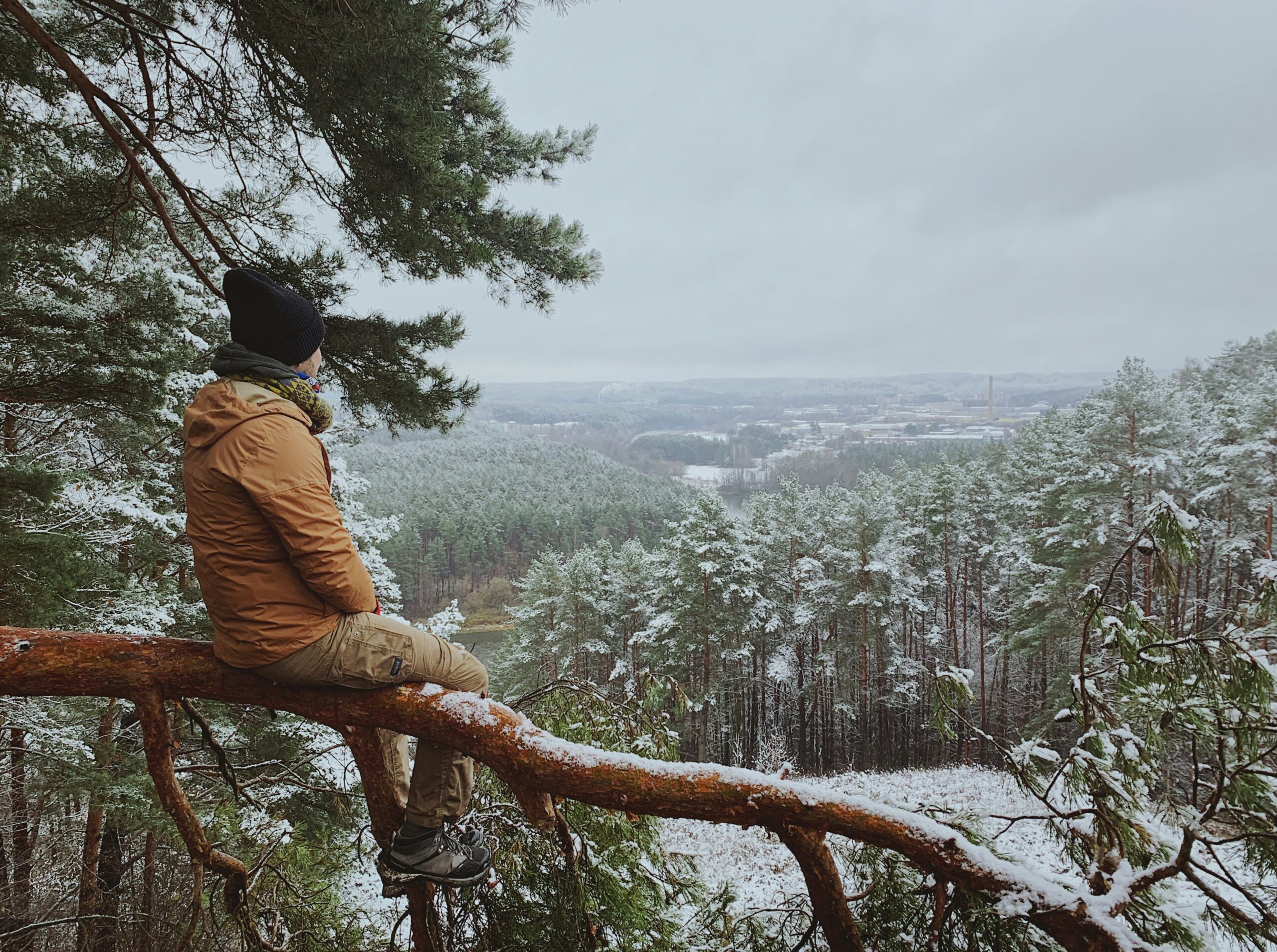 Bushcraft for begyndere: Guide til overlevelse i naturen 2025