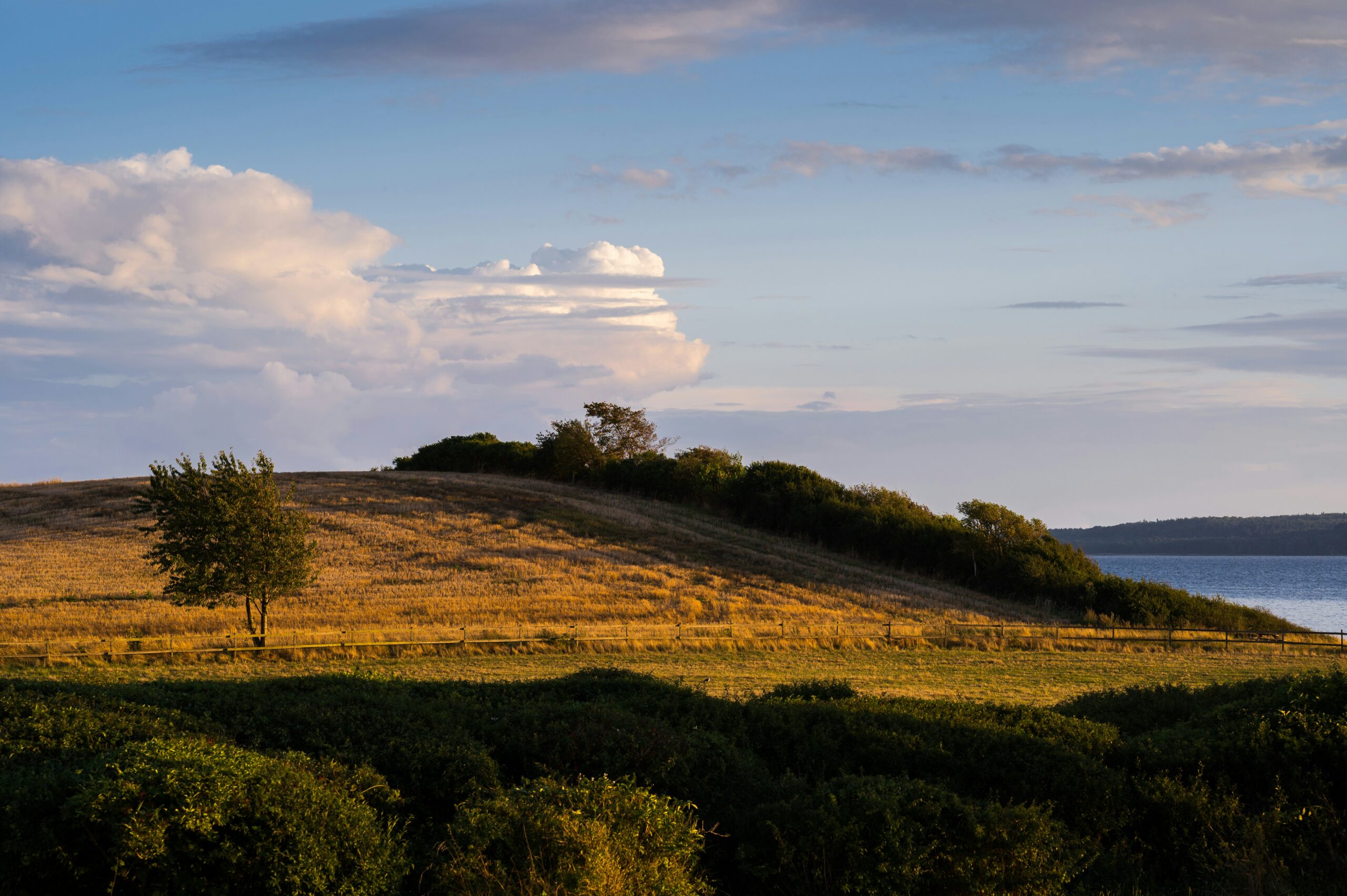 Roskilde fjord vandretur sjælland