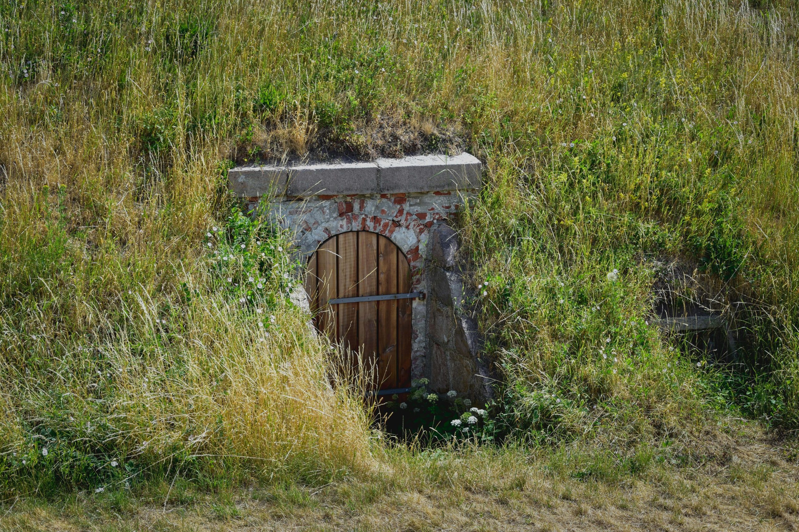 Beskyttelsesrum i danmark