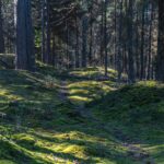 vandreture i danmark